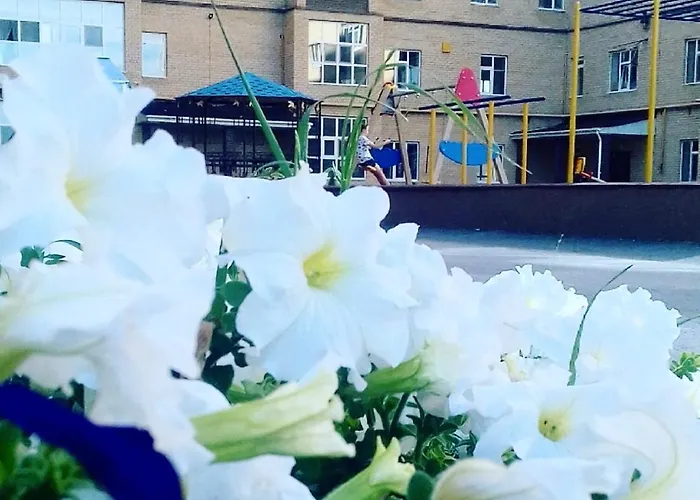 Апартаменты В Центре Города Жк Арман