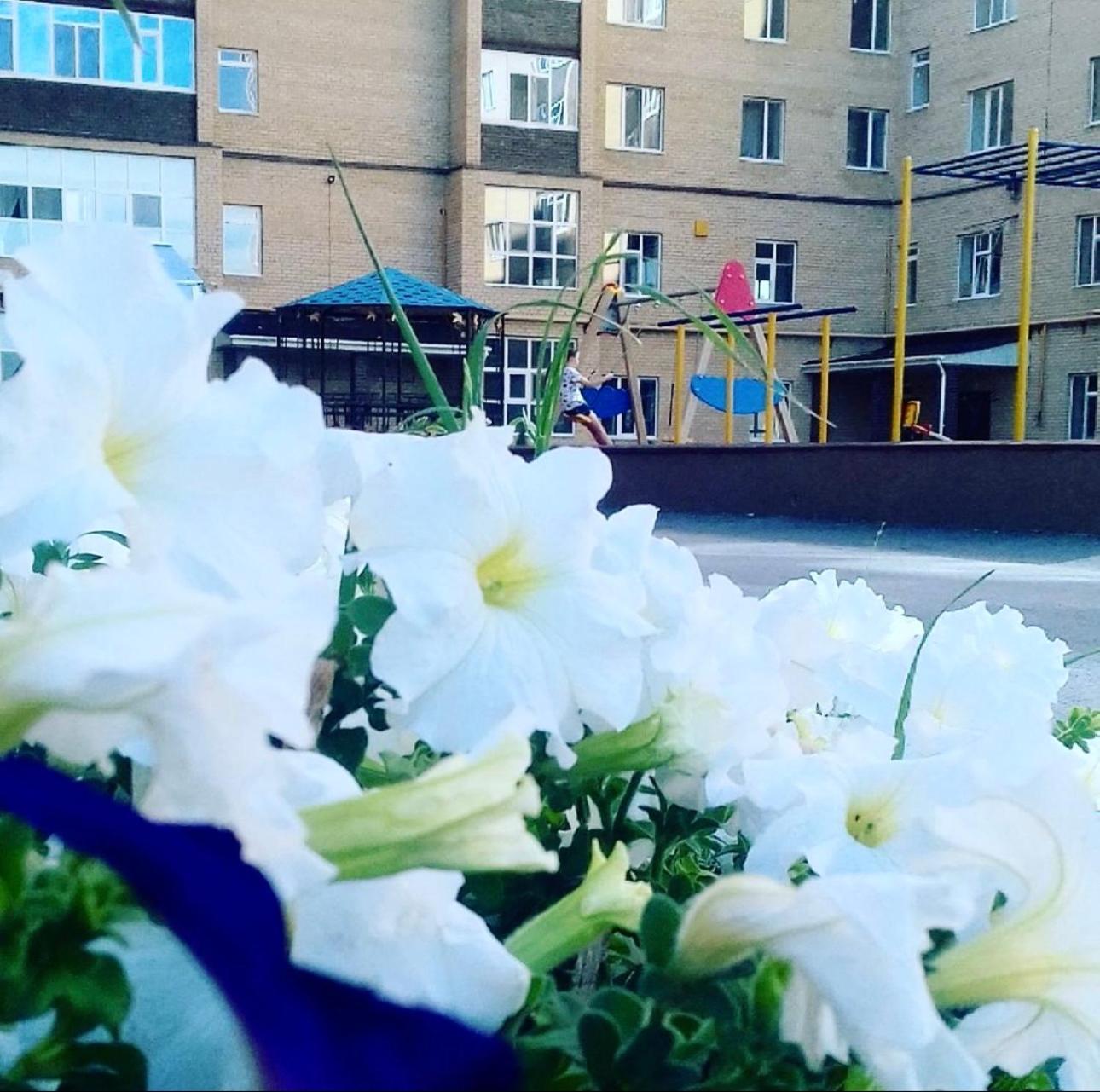в центре города жк арман * Aqtöbe